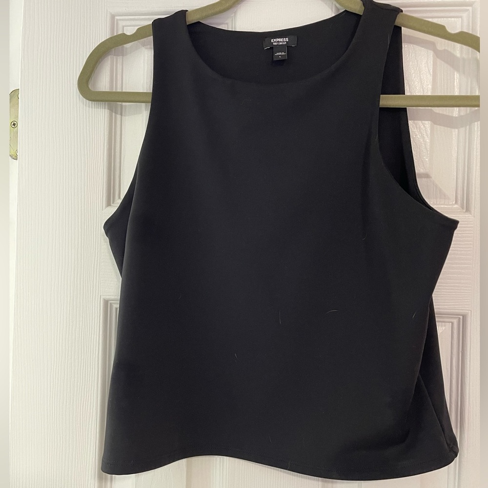 Matte, Body Contour High Neck Cropped Tank - NEVER WORN